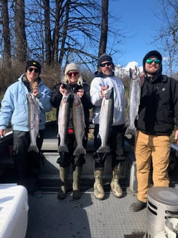 Coho Salmon fishing in Toledo, Washington