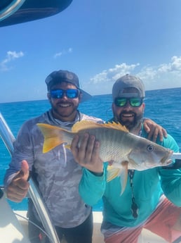 Mutton Snapper Fishing in Miami, Florida