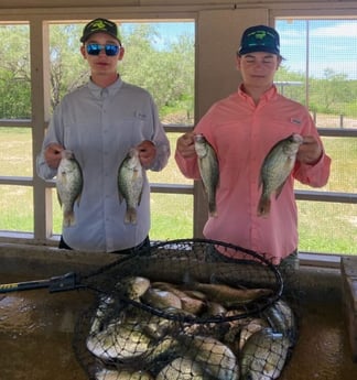 Crappie fishing in Zapata, Texas