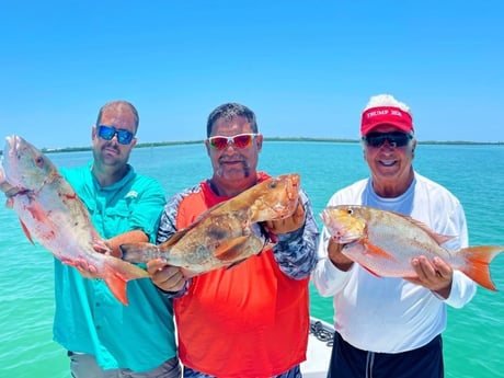 Mutton Snapper fishing in Tavernier, Florida