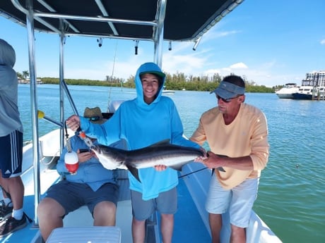 Cobia fishing in Fort Myers Beach, Florida