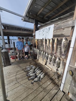 Black Drum, Redfish, Sheepshead Fishing in Louisiana, MO, USA
