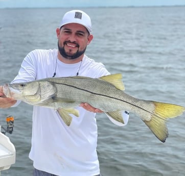 Snook fishing in Bokeelia, Florida
