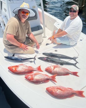 King Mackerel / Kingfish, Little Tunny / False Albacore, Red Snapper fishing in Panama City, Florida