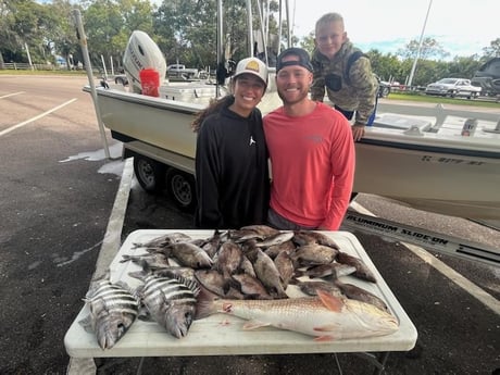 Redfish, Sheepshead Fishing in St. Petersburg, Florida