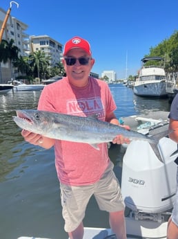 Kingfish Fishing in Fort Lauderdale, Florida