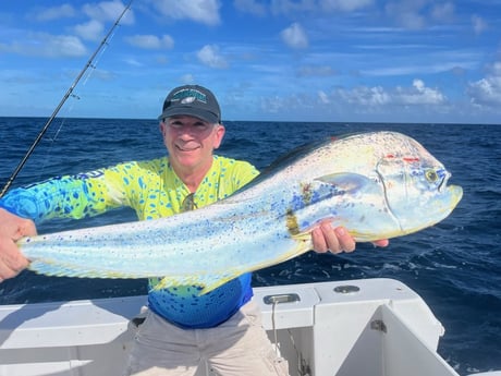 Mahi Mahi Fishing in Islamorada, Florida