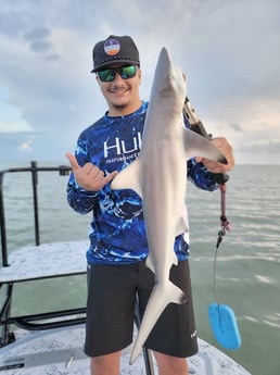 Blacktip Shark Fishing in Rio Hondo, Texas