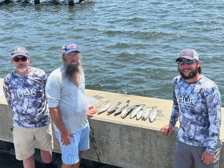 Speckled Trout Fishing in League City, Texas
