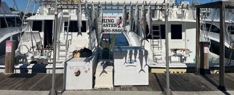 Barracuda, Kingfish Fishing in Pompano Beach, Florida