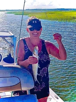 Ladyfish fishing in Charleston, South Carolina