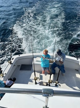 Barracuda Fishing in Miami, Florida