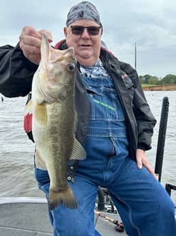 Largemouth Bass Fishing in Alba, Texas