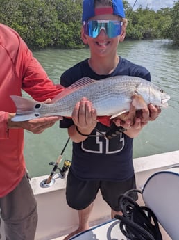 Redfish Fishing in Naples, Florida
