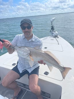 Redfish Fishing in Sarasota, Florida