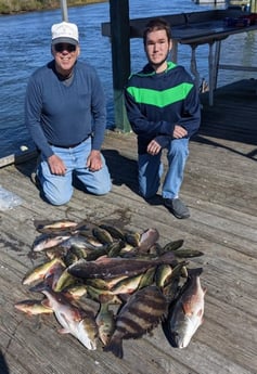 Blue Catfish, Largemouth Bass, Redfish, Sheepshead Fishing in Sulphur, Louisiana