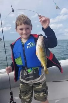 Perch Fishing in Lakeside Marblehead, Ohio