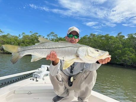 Snook Fishing in Naples, Florida