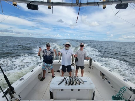 Bluefish, Spanish Mackerel fishing in Gulf Shores, Alabama