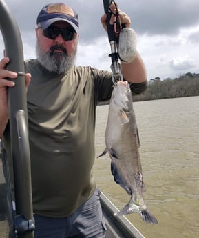 Blue Catfish fishing in Coldspring, Texas