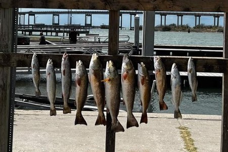 Redfish, Speckled Trout / Spotted Seatrout fishing in Ingleside, Texas