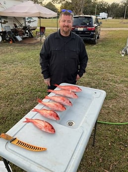 Vermillion Snapper Fishing in Gulf Shores, Alabama