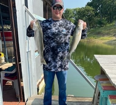 Hybrid Striped Bass fishing in Pottsboro, Texas