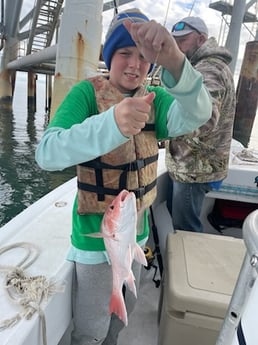 Red Snapper Fishing in Dauphin Island, Alabama