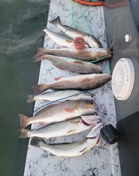 Redfish, Speckled Trout Fishing in South Padre Island, Texas