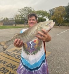 Striped Bass Fishing in Briarcliff, Texas