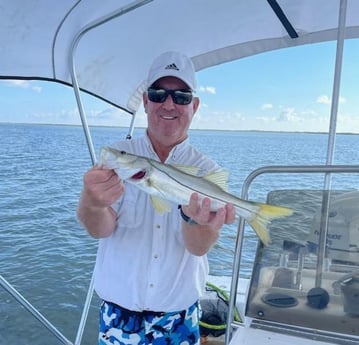 Snook Fishing in South Padre Island, Texas