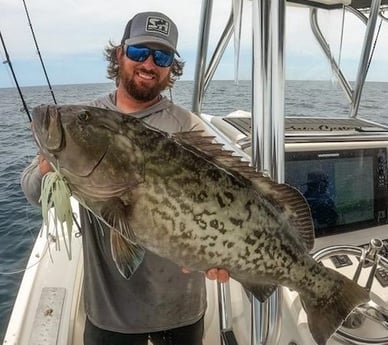 Gag Grouper Fishing in Jacksonville, Florida