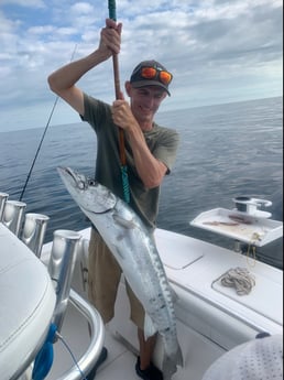 Barracuda fishing in Wilmington, North Carolina
