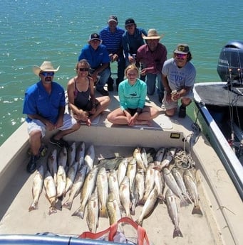 Flounder, Redfish, Speckled Trout Fishing in Port Isabel, Texas