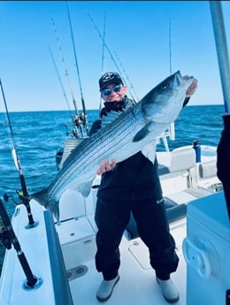 Striped Bass Fishing in Bourne, Massachusetts
