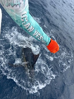 Fishing in Quepos, Costa Rica
