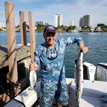 Barracuda, Bream fishing in Riviera Beach, Florida