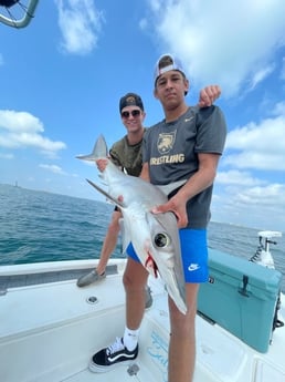 Thresher Shark fishing in New Smyrna Beach, Florida