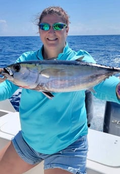 Blackfin Tuna Fishing in Marathon, Florida