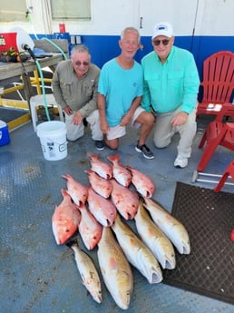 Red Snapper, Redfish, Speckled Trout / Spotted Seatrout fishing in Venice, Louisiana