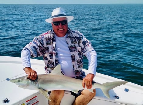 Blacktip Shark Fishing in Fort Myers Beach, Florida