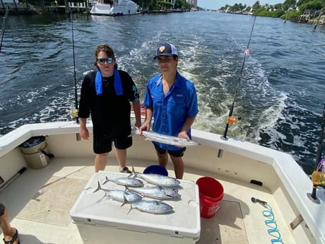 Barracuda, False Albacore Fishing in Pompano Beach, Florida