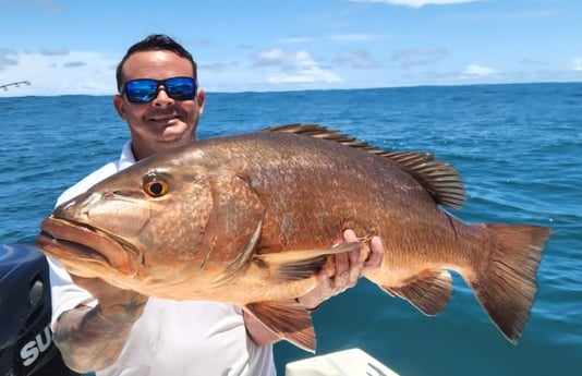 Cubera Snapper fishing in Puerto Jiménez, Puntarenas Province