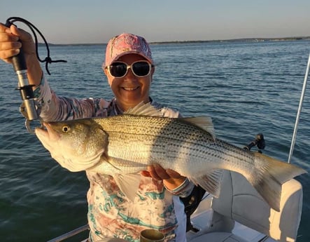 Hybrid Striped Bass fishing in Runaway Bay, Texas