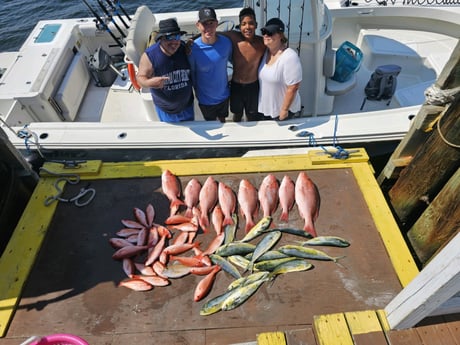 Mahi Mahi, Red Snapper, Vermillion Snapper Fishing in Panama City, Florida
