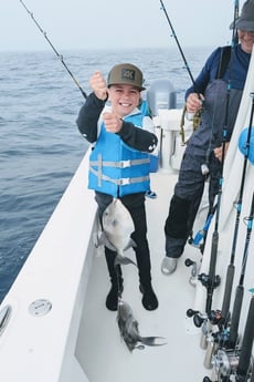 Triggerfish Fishing in Panama City, Florida