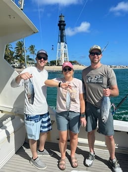 Skipjack Tuna, Spanish Mackerel Fishing in Pompano Beach, Florida