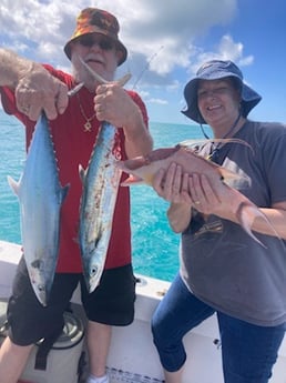 Hogfish, King Mackerel / Kingfish Fishing in Marathon, Florida