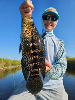 Fishing in Fort Lauderdale, Florida