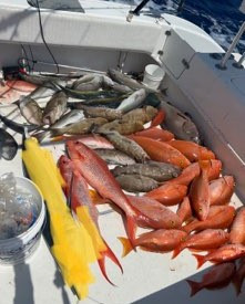 Queen Snapper, Red Snapper, Snowy Grouper Fishing in Pompano Beach, Florida